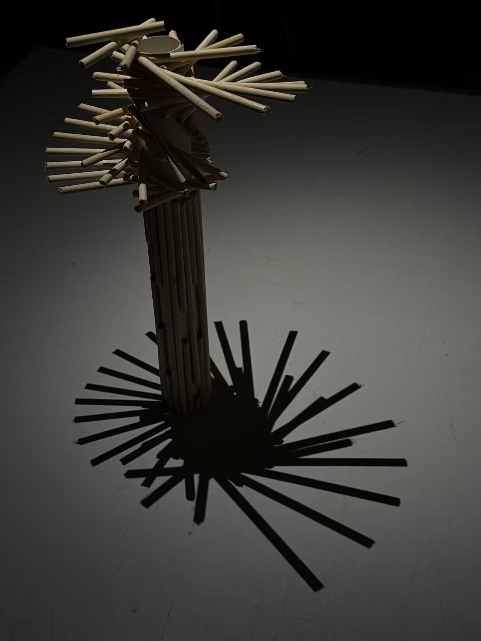 Morphology 02